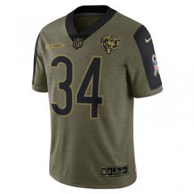 Camiseta Hombre NFL Chicago Bears Walter Payton 34 Nike 2021 Salute to Service